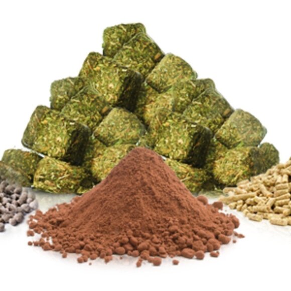 Brand New ella EDEN-Faith, Pressed Eyeshadow - Picture 7 of 8